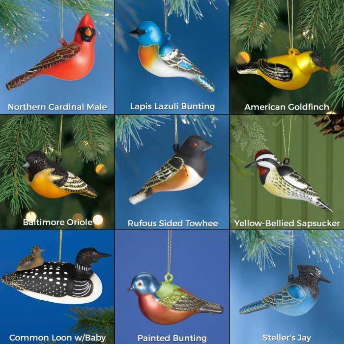 Blown Glass Bird Ornament Collection II Set of 9